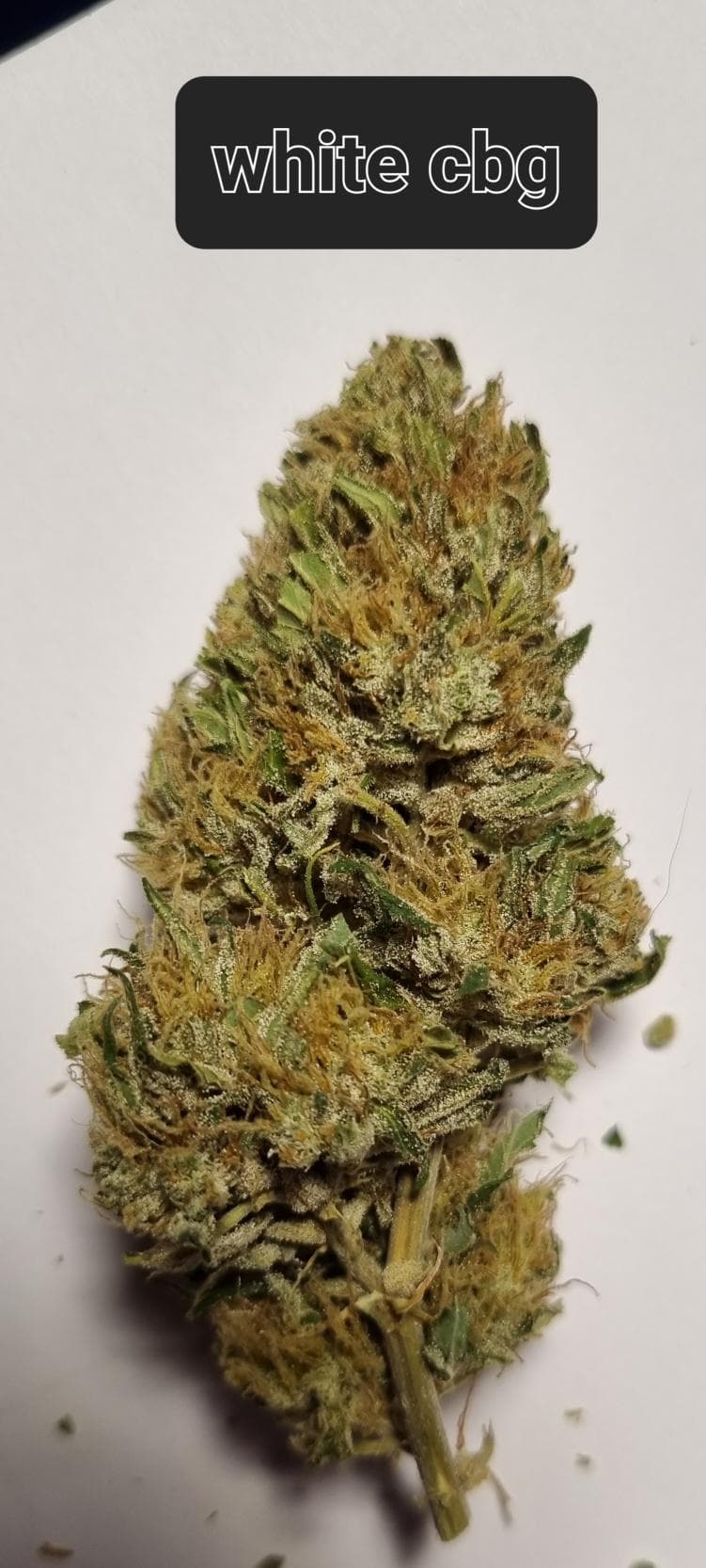 White CBG