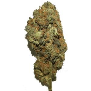 Heaven — Fleurs CBD CBD bio breton