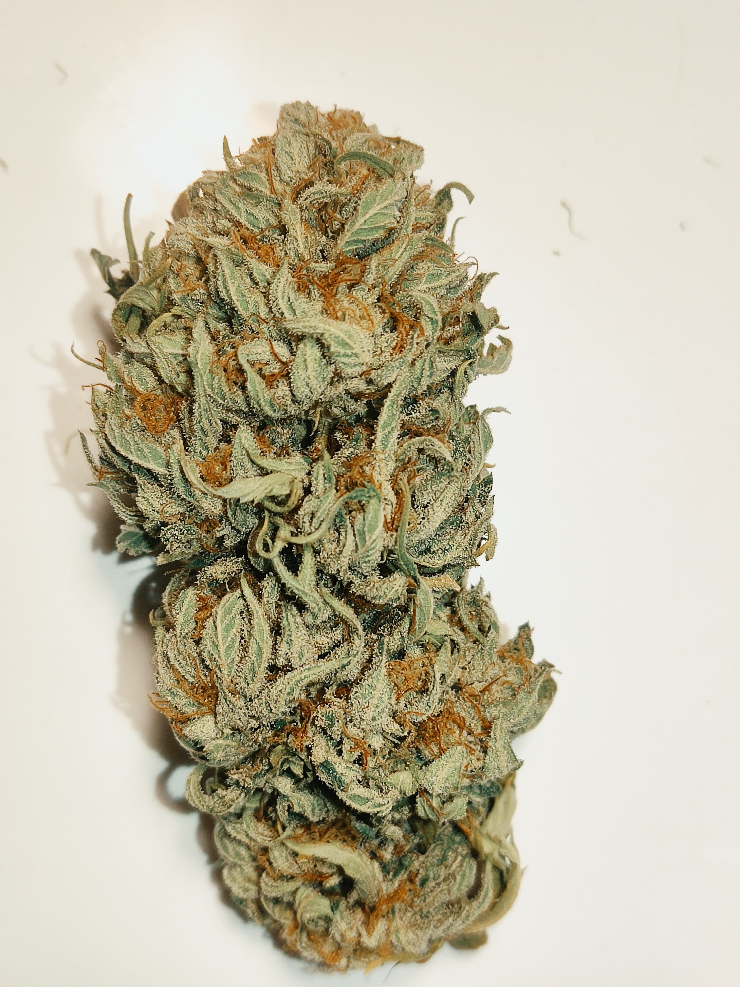 White Cbg — 3 Feuilles