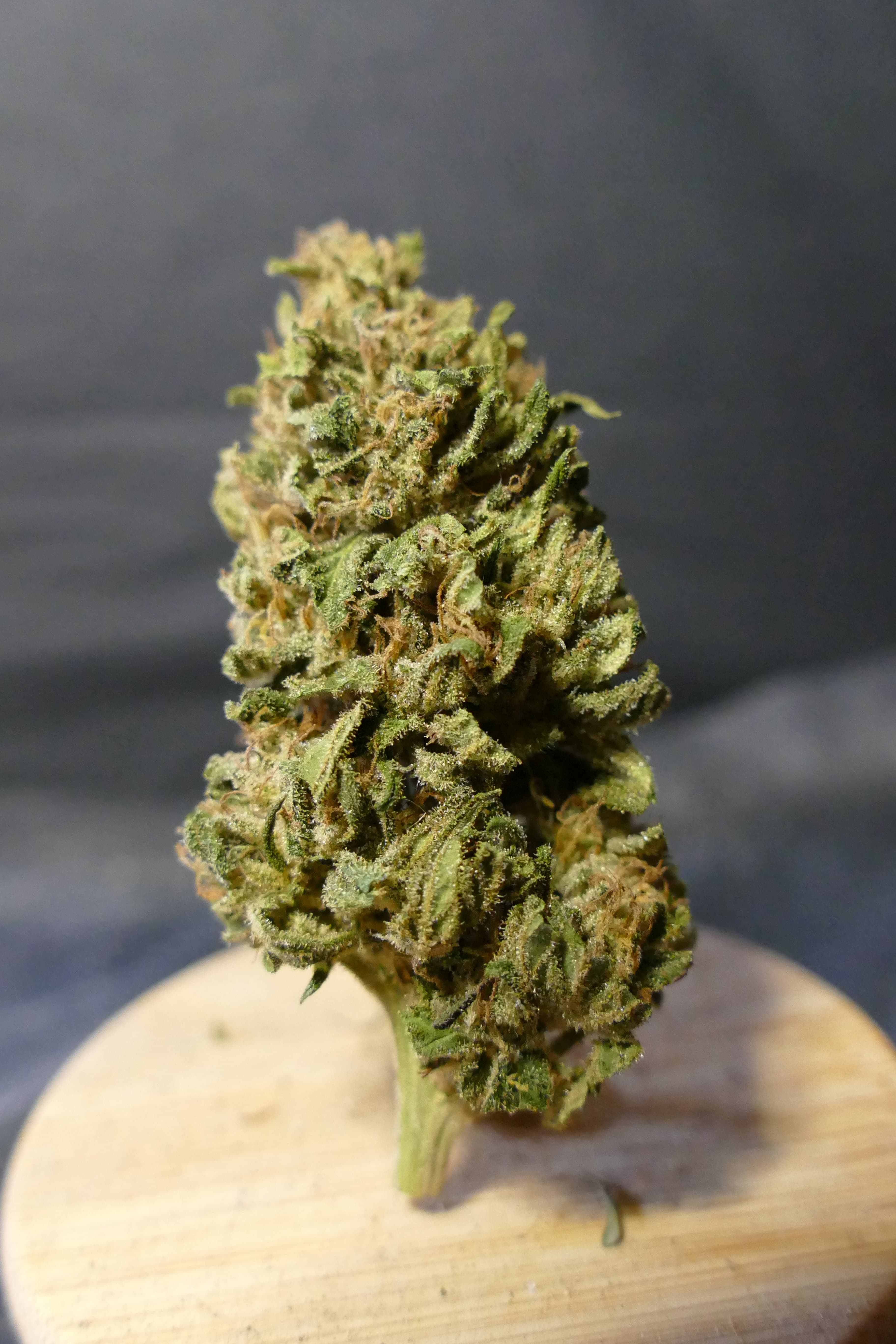 Lemon Nerds — Fleurs CBD CBD bio breton