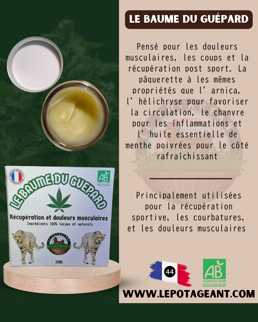 Le baume du guépard - photo 2