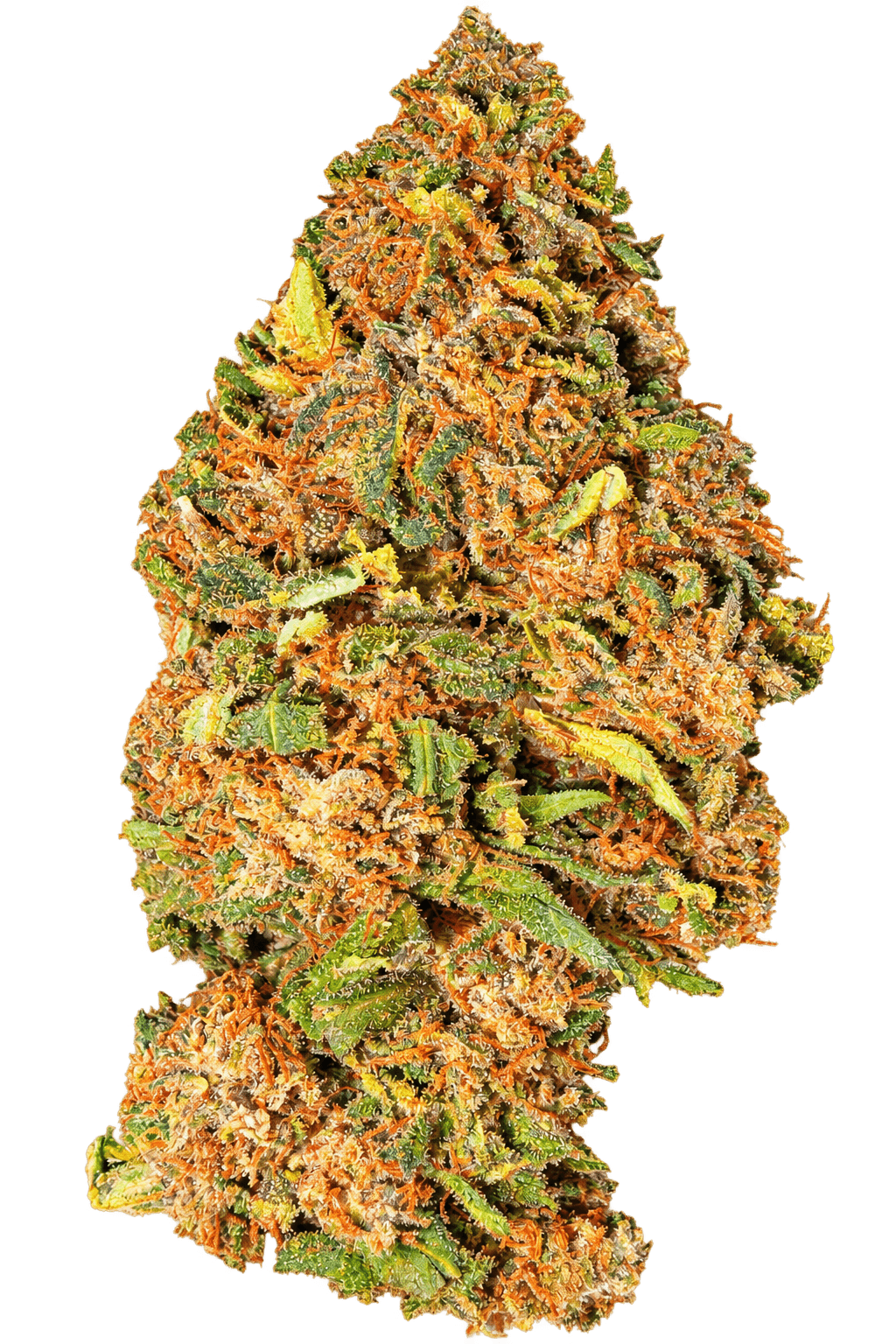 Pink Pineapple